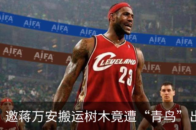 邀蒋万安搬运树木竟遭“青鸟”出征，清洁队长：我好内疚、很难过